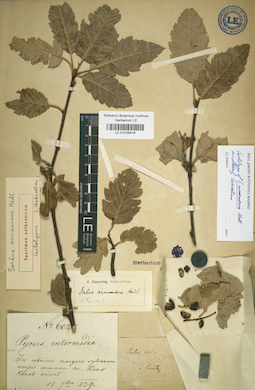 LE 01025616