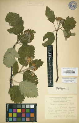 LE 01025618