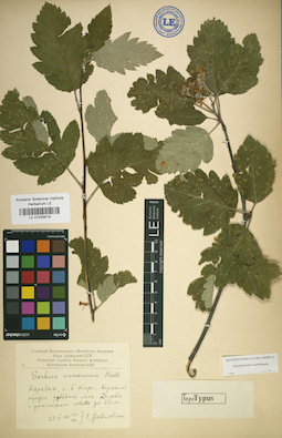 LE 01025619