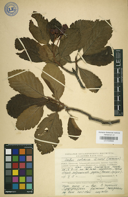 LE 01025629