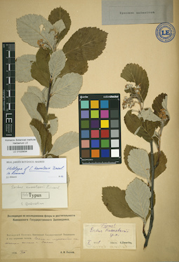 LE 01025634