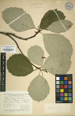 LE 01025641