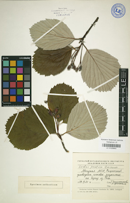 LE 01025643