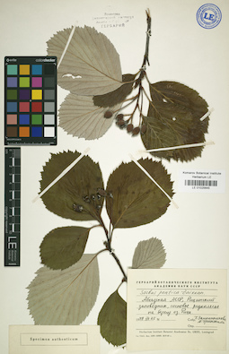 LE 01025645
