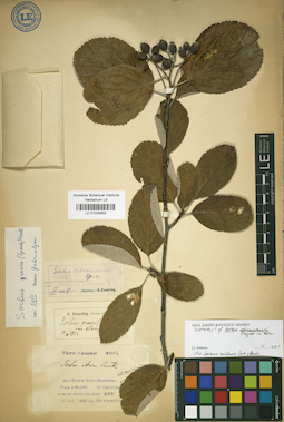 LE 01025650
