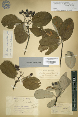 LE 01025651