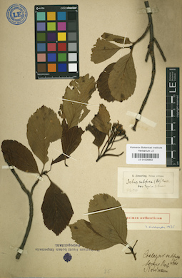LE 01025652