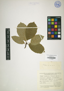 LE 01025657