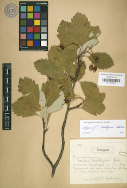 LE 01025673