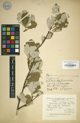 LE 01025674