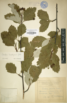 LE 01025675