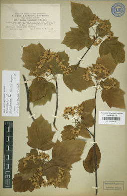 LE 01025679