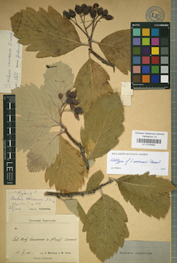 LE 01025682