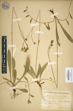 LE 01026012