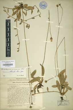 LE 01026013