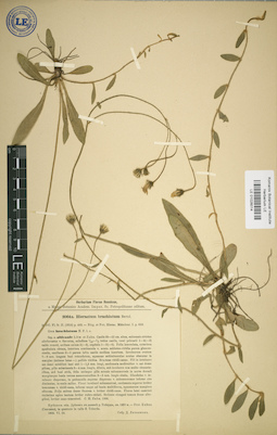 LE 01026014