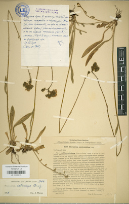 LE 01026015