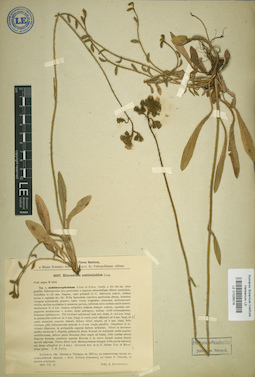 LE 01026016