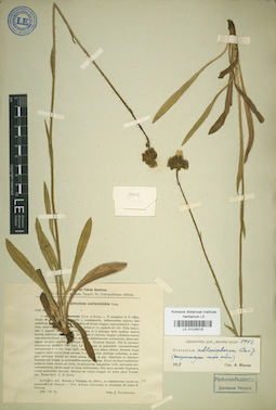 LE 01026018