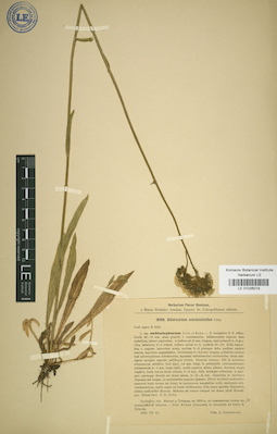 LE 01026019