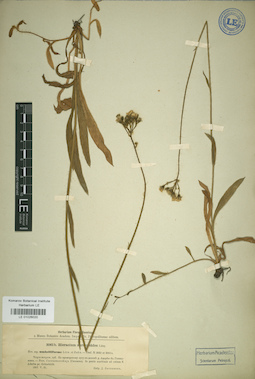 LE 01026020
