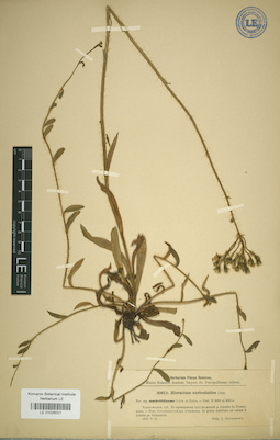 LE 01026021