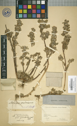 LE 01026073