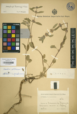 LE 01026074