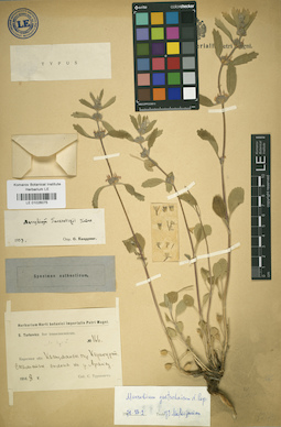 LE 01026075