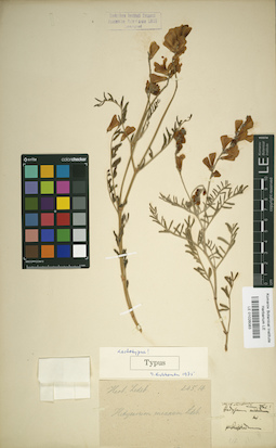 LE 01026083