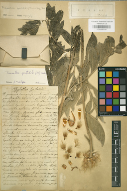 LE 01032110