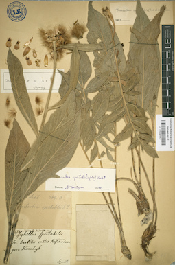 LE 01032112