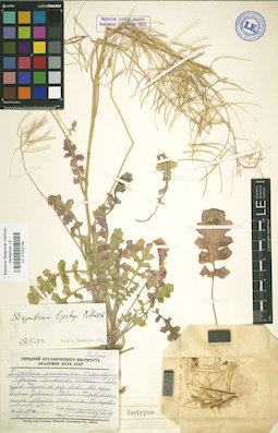 LE 01032159