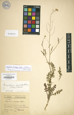 LE 01032161