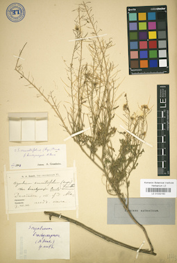 LE 01032162