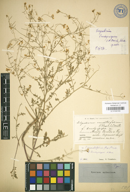 LE 01032163