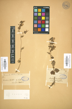 LE 01032177
