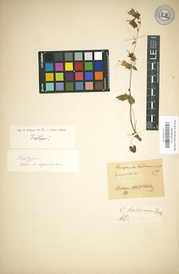LE 01032179