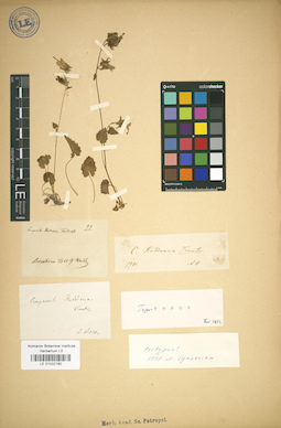 LE 01032180