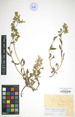 LE 01039484