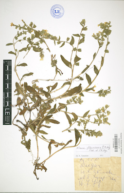 LE 01039485