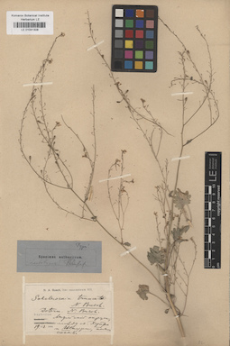 LE 01041308