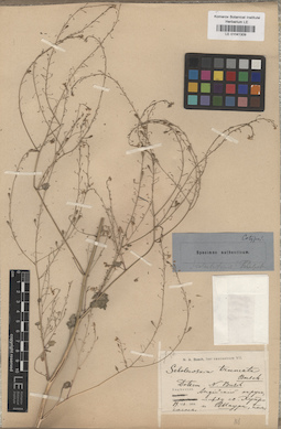 LE 01041309
