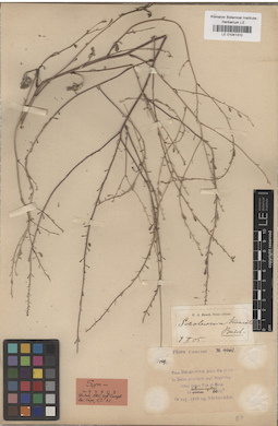 LE 01041310