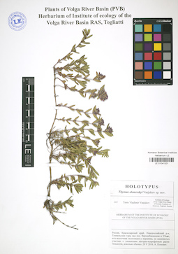 LE 01041321