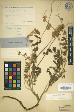LE 01041408