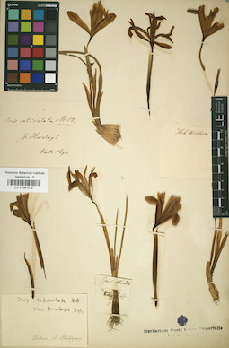 LE 01041512