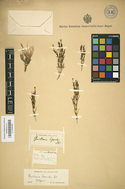 LE 01042325
