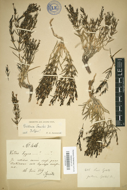 LE 01042326