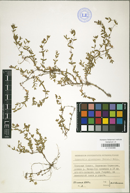 LE 01042369